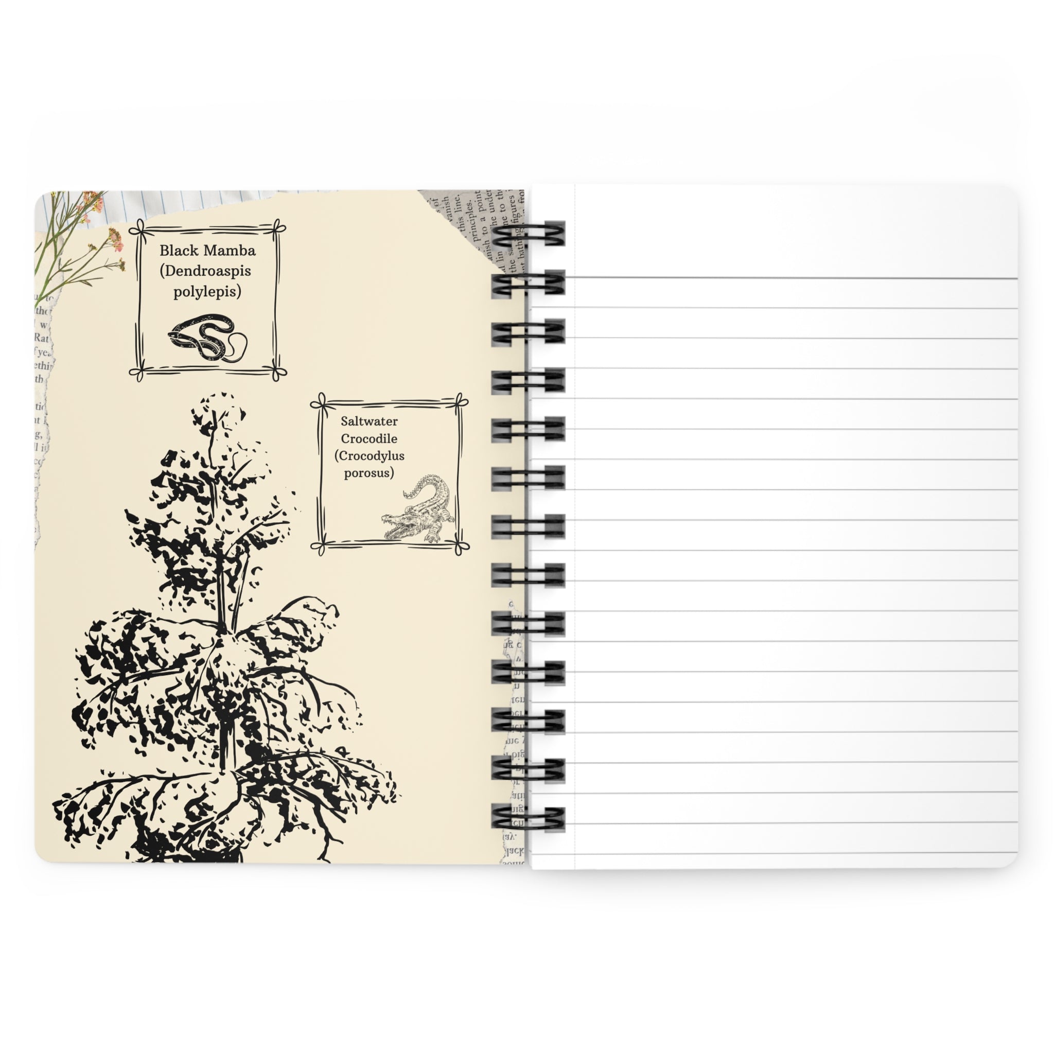 Inspirational Vintage Scroll Spiral Journal — Charlotte Brontë Quote
