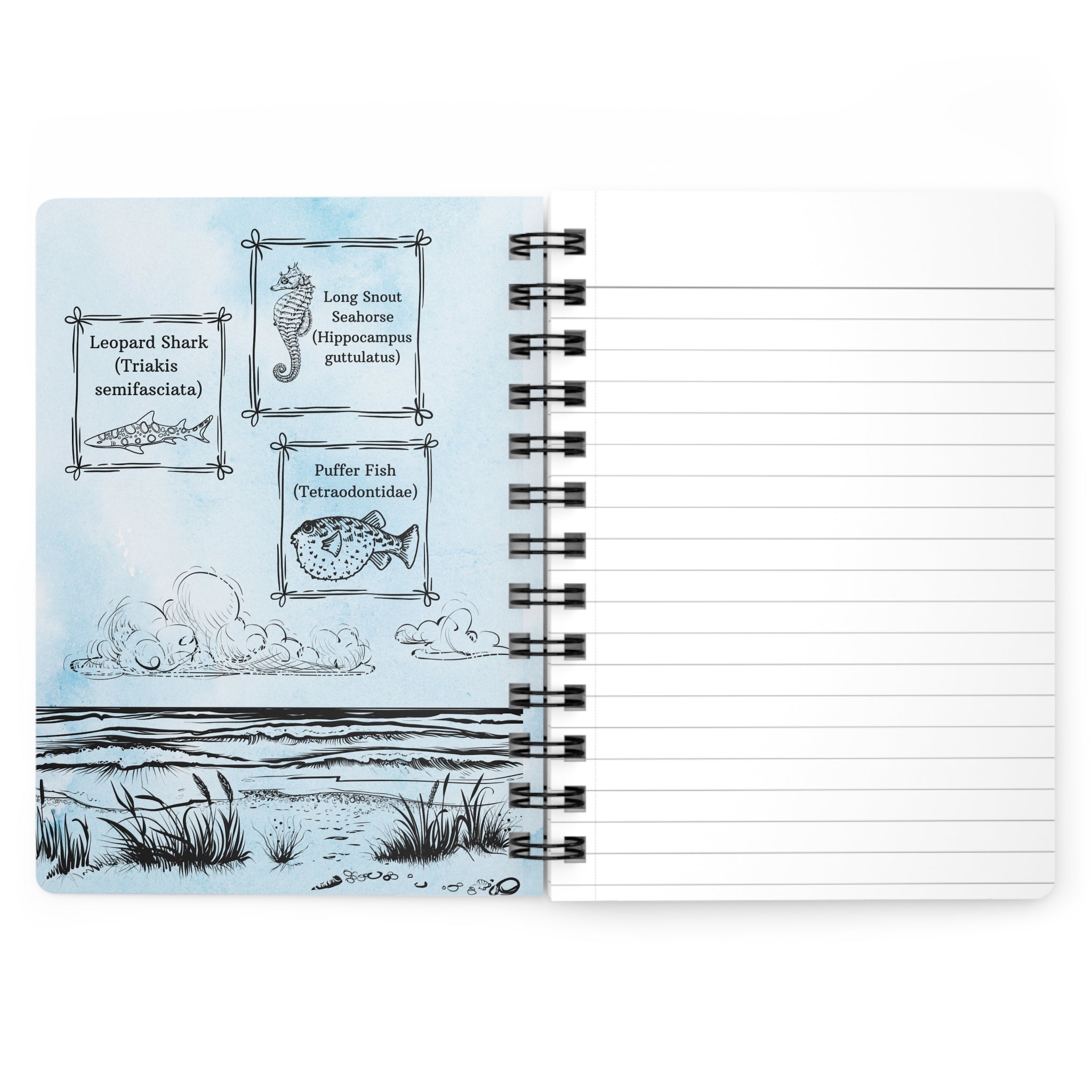 Coastal Sea Turtle Spiral Journal — 26/27 Planner Notebook